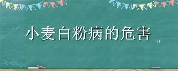 小麥白粉病的危害 小麥白粉病的危害及其防治方法