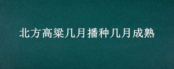 北方高粱几月播种几月成熟（高粱几月份播种）