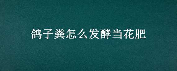 鴿子糞怎么發(fā)酵當(dāng)花肥（鴿子糞怎么發(fā)酵）