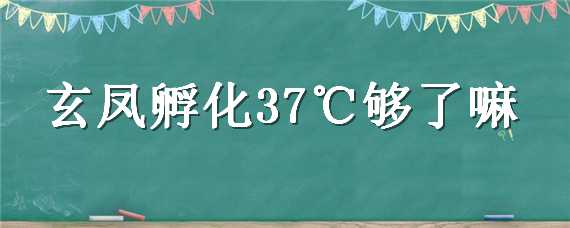 玄鳳孵化37℃夠了嘛（玄鳳孵化率）