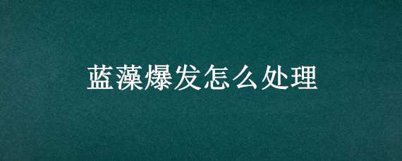 蓝藻爆发怎么处理 蓝藻爆发怎么办