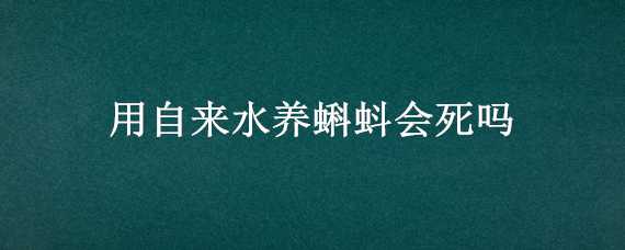 用自來(lái)水養(yǎng)蝌蚪會(huì)死嗎