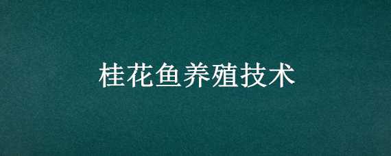 桂花鱼养殖技术（桂花鱼养殖技术视频）