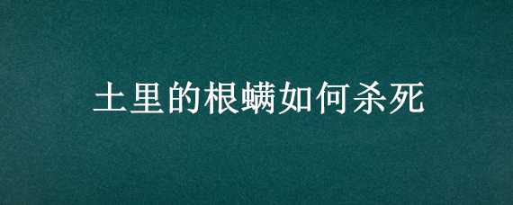 土里的根螨如何杀死 土里的螨虫为啥杀不死