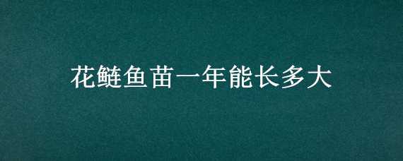 花鲢鱼苗一年能长多大（花鲢鱼苗一年能长多大斤）