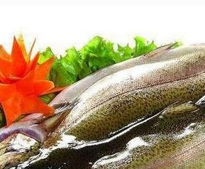 鳟鱼的营养价值 鳟鱼营养成分