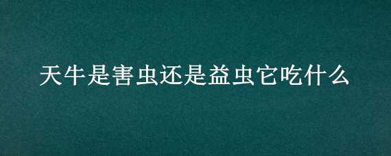 天牛是害虫还是益虫它吃什么（天牛是益虫还是害虫呢）