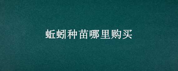 蚯蚓種苗哪里購(gòu)買（蚯蚓種苗哪里有）