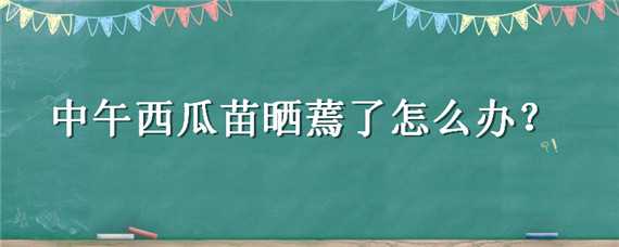 中午西瓜苗曬蔫了怎么辦 西瓜苗蔫了如何恢復(fù)