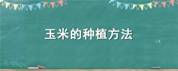 玉米的種植方法（玉米的種植方法與時間）