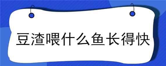 豆渣喂什么鱼长得快 豆渣喂鱼长得快吗