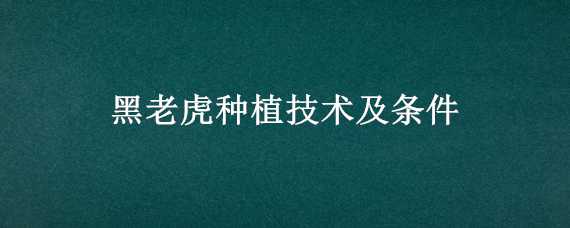 黑老虎种植技术及条件 黑老虎种植技术及条件视频