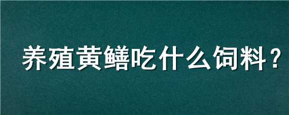 养殖黄鳝吃什么饲料（养殖黄鳝吃什么饲料长的快）