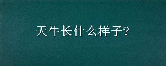 天牛長(zhǎng)什么樣子? 天牛長(zhǎng)什么樣子會(huì)飛嗎