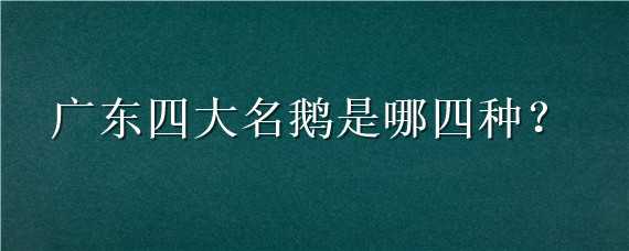 广东四大名鹅是哪四种 广东三大名鹅