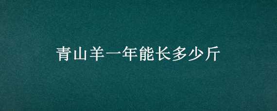 青山羊一年能长多少斤 青山羊一年能长多大