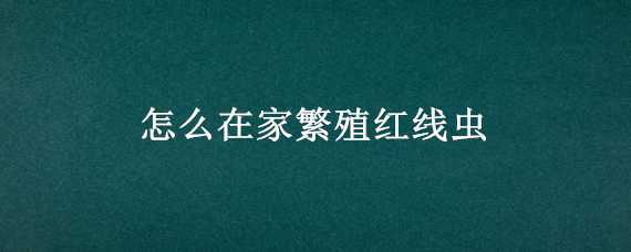 怎么在家繁殖红线虫（家里如何繁殖红线虫）