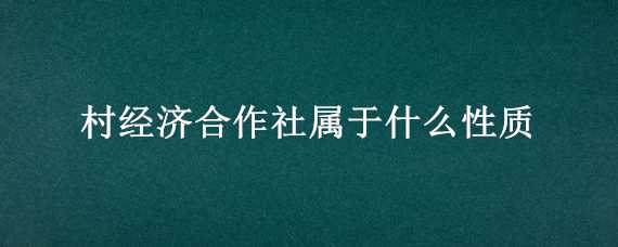 村經(jīng)濟(jì)合作社屬于什么性質(zhì) 村經(jīng)濟(jì)合作社屬于什么性質(zhì)的企業(yè)