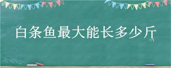 白条鱼最大能长多少斤（白条鱼能长多大多重）