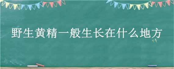 野生黃精一般生長(zhǎng)在什么地方（野生黃精一般生長(zhǎng)在什么地方的）