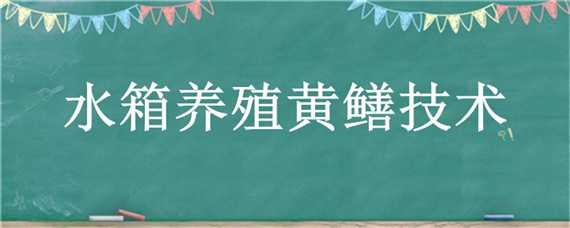 水箱养殖黄鳝技术（水箱养殖黄鳝技术要求）