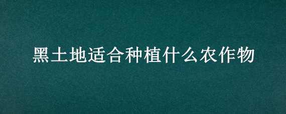 黑土地适合种植什么农作物（黑土地适合种植什么农作物好）