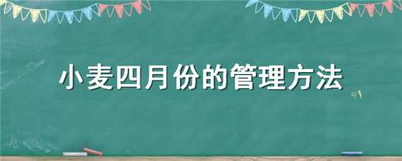 小麥四月份的管理方法（4月中旬小麥的管理）