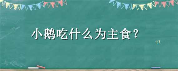 小鹅吃什么为主食 小鹅吃什么为主食喂食