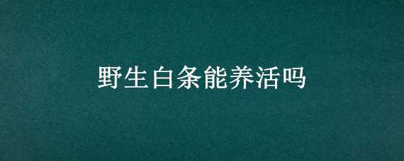 野生白條能養(yǎng)活嗎 小白條是野生的嗎