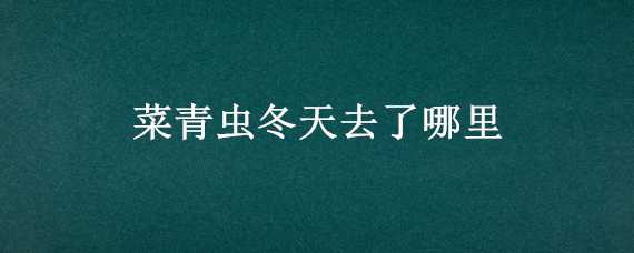 菜青虫冬天去了哪里（菜青虫冬天去了哪里?蝉是怎么发声的）