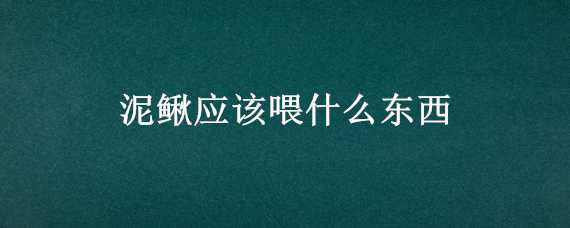 泥鳅应该喂什么东西（泥鳅应该喂什么东西最好）