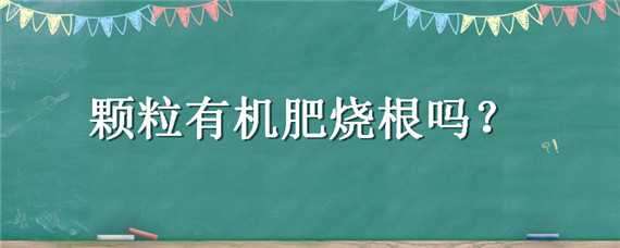 颗粒有机肥烧根吗（颗粒有机肥烧根吗有毒吗）