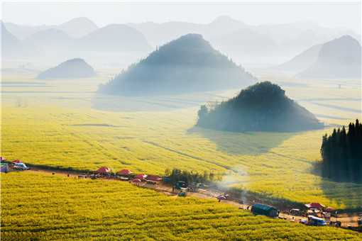 土地流轉(zhuǎn)交易