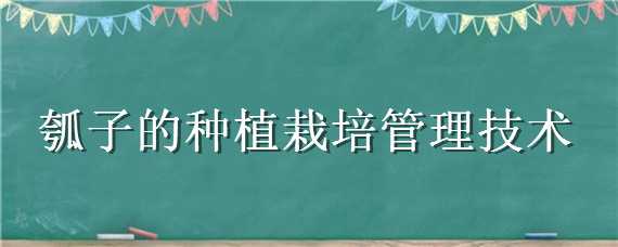 瓠子的种植栽培管理技术 瓠子的种植栽培管理技术结果用打头吗