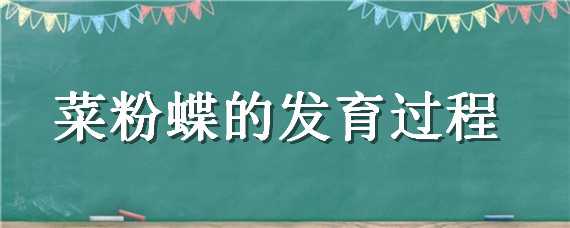 菜粉蝶的發(fā)育過(guò)程（菜粉蝶的發(fā)育過(guò)程圖片）