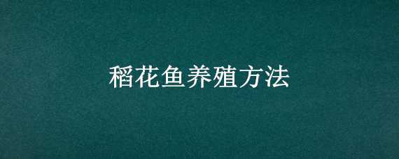 稻花鱼养殖方法（稻花鱼的养殖技术）