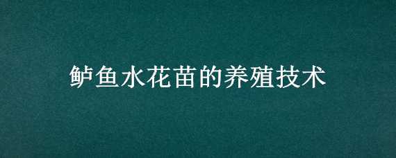 鲈鱼水花苗的养殖技术（鲈鱼水花苗的养殖技术与管理）