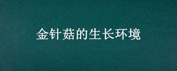 金针菇的生长环境 金针菇的生长环境简笔画