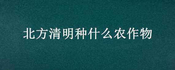 北方清明種什么農(nóng)作物（北方清明種什么農(nóng)作物好）