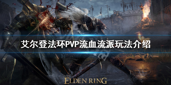 艾尔登法环PVP有哪些流派（艾尔登法环职业）