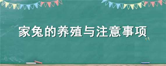 家兔的養(yǎng)殖與注意事項（家兔的養(yǎng)殖與注意事項圖片）