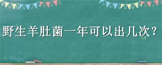 野生羊肚菌一年可以出几次 羊肚菌一年可以种几次