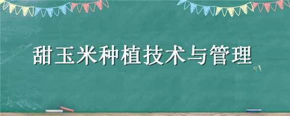 甜玉米种植技术与管理 甜玉米种植技术与管理方法