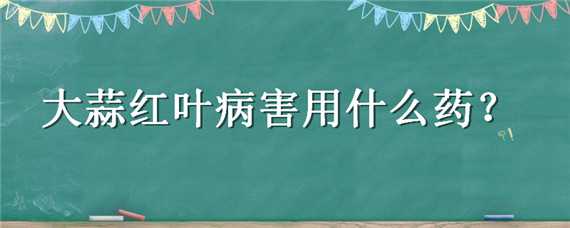 大蒜红叶病害用什么药 大蒜红叶子病需要打什么药怎么治疗