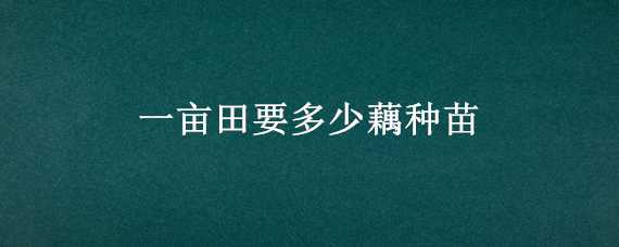 一亩田要多少藕种苗（一亩田能种多少藕）