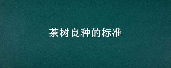 茶树良种的标准（茶树良种的标准是多少）