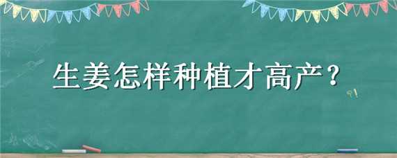 生姜怎樣種植才高產(chǎn) 生姜怎樣種植才高產(chǎn)技術(shù)