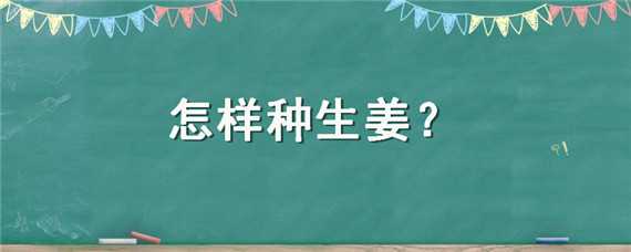 怎樣種生姜 怎樣種生姜又長(zhǎng)又大