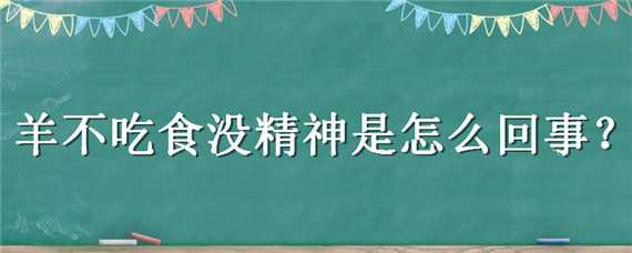 羊不吃食没精神是怎么回事（羊不吃东西没精神）