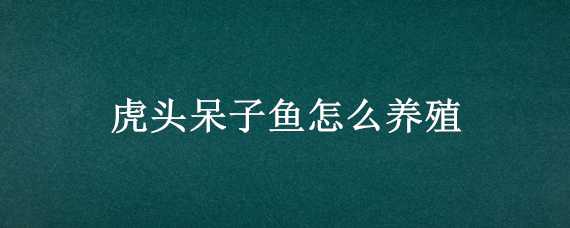 虎頭呆子魚怎么養(yǎng)殖 虎頭呆子魚養(yǎng)殖視頻